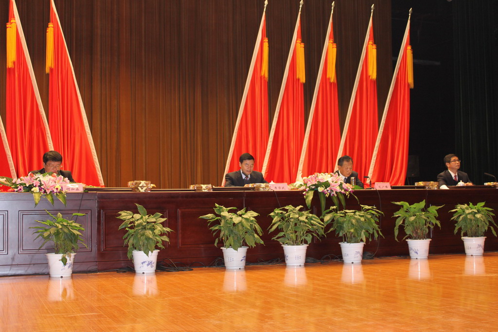 江苏省金陵建工星空平台(中国)生产工作暨2011年总结表彰大会